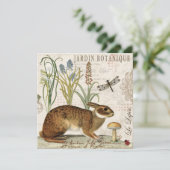 modern vintage french rabbit in the garden (Standing Front)