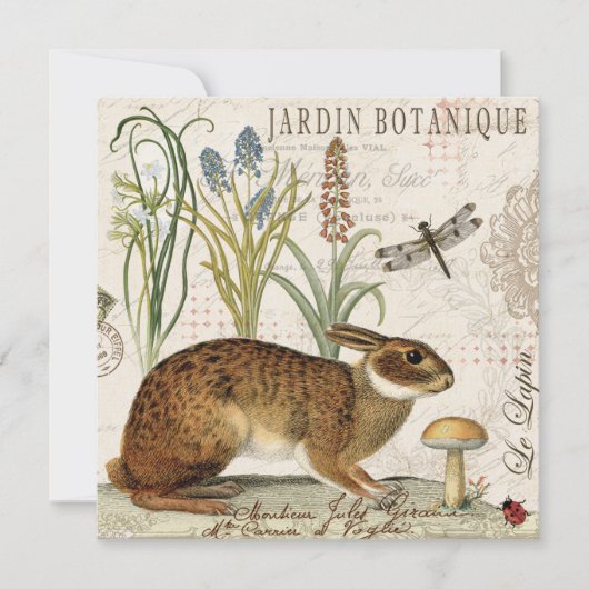 modern vintage french rabbit in the garden (Front)