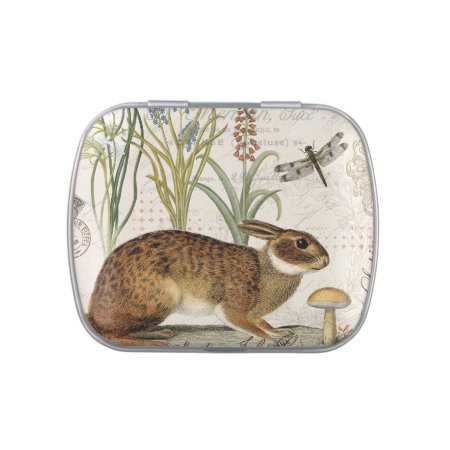 Modern Vintage French Rabbit In The Garden Jelly Belly Tin