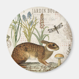 modern vintage french rabbit in the garden magnet