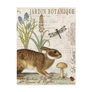 modern vintage french rabbit in the garden postcard