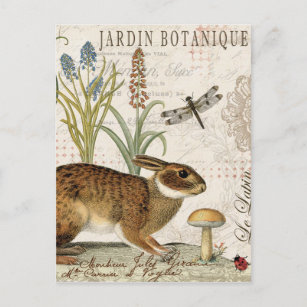 modern vintage french rabbit in the garden postcard