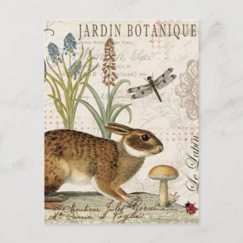Modern Vintage French Rabbit In The Garden Postcard by GIFTSBYHEATHERMYERS at Zazzle