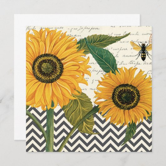 modern vintage french sunflower (Front/Back)