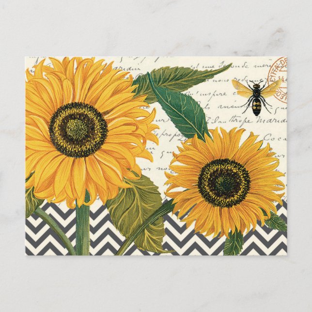 modern vintage french sunflower postcard (Front)