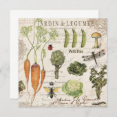 modern vintage french vegetable garden (Front/Back)