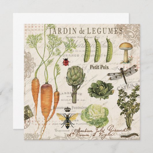 modern vintage french vegetable garden (Front/Back)