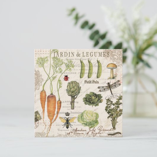 modern vintage french vegetable garden (Standing Front)