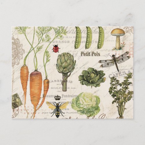 modern vintage french vegetable garden postcard