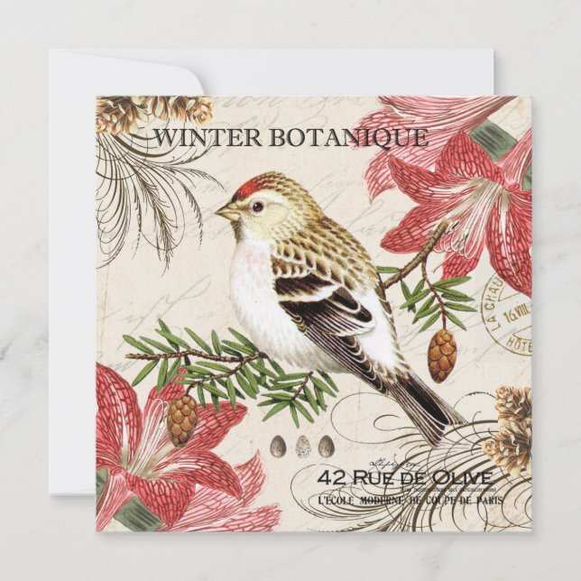 modern vintage french winter bird (Front)