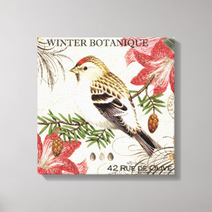 modern vintage french winter bird canvas print