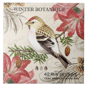 modern vintage french winter bird tile