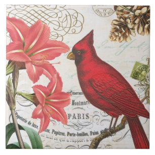 modern vintage french winter cardinal tile