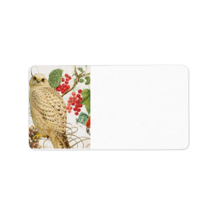 modern vintage french winter owl label