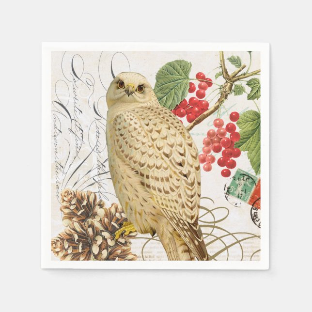 modern vintage french winter owl paper napkins (Front)