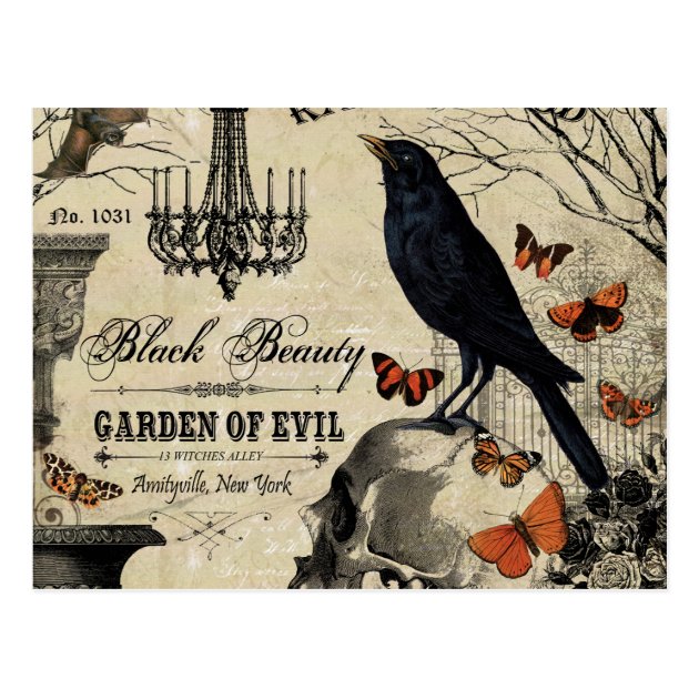 Modern Vintage Halloween Crow And Skull Postcard