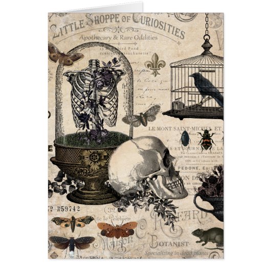 Modern Vintage Halloween Garden (Front)