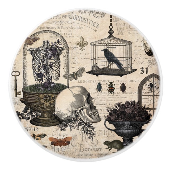 Modern Vintage Halloween Garden Ceramic Knob (Front)