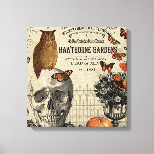 Modern vintage Halloween owl and skull Canvas Print (Front)