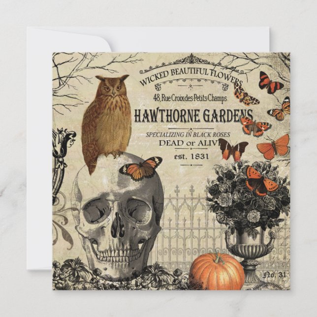 Modern vintage Halloween owl and skull Card (Front)