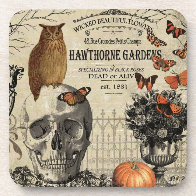 Modern vintage Halloween owl and skull Coaster (Front)