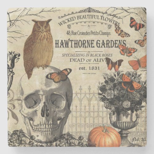 Modern vintage Halloween owl and skull Stone Coaster