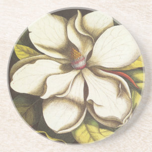 modern vintage magnolia coaster