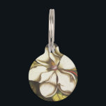 modern vintage magnolia pet tag<br><div class="desc">modern vintage magnolia</div>