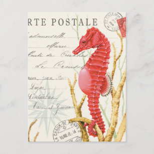 modern vintage seahorse postcard