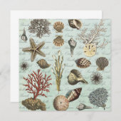 Modern Vintage Seashells (Front/Back)