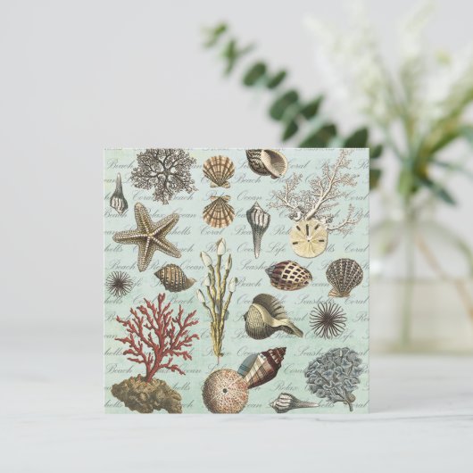 Modern Vintage Seashells (Standing Front)