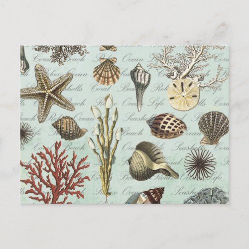 Modern Vintage Seashells Postcard