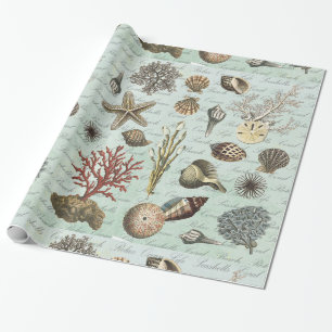 Modern Vintage Seashells Wrapping Paper