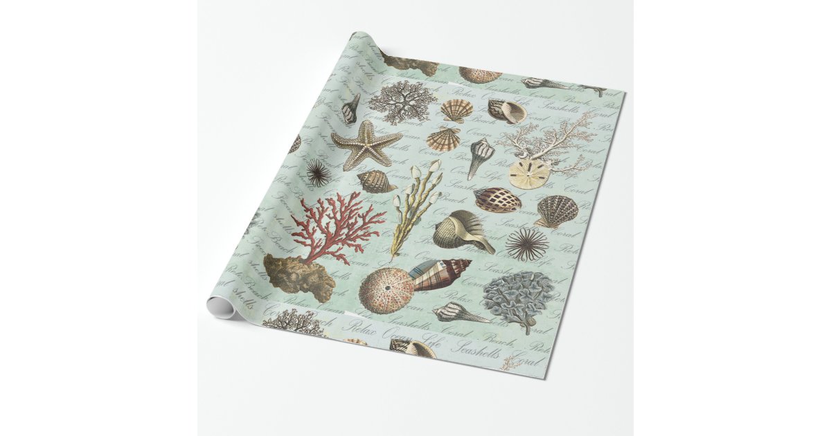 Modern Vintage Seashells Wrapping Paper | Zazzle