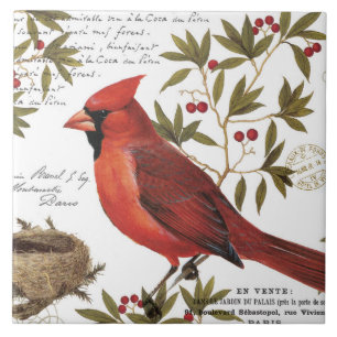 modern vintage winter cardinal ceramic tile