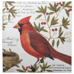 modern vintage winter cardinal napkin