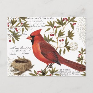 modern vintage winter cardinal postcard