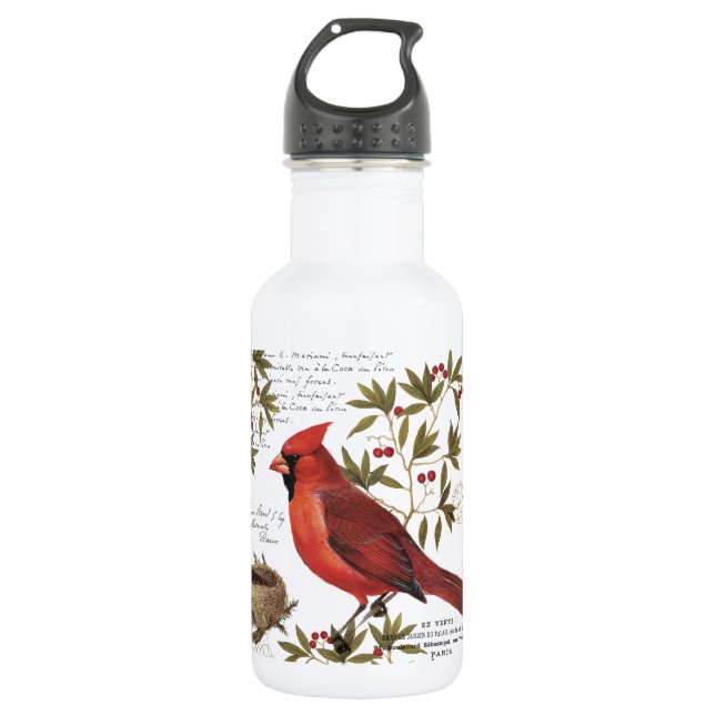 modern vintage winter cardinal stainless steel water bottle (Front)