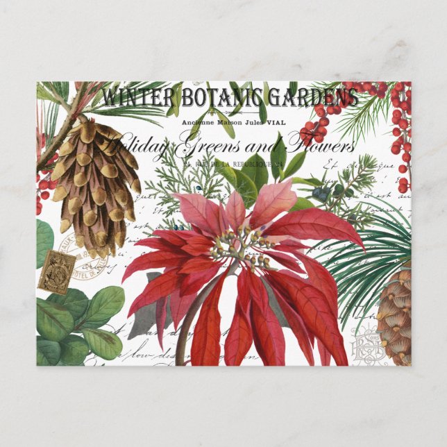 Modern vintage winter garden floral postcard (Front)