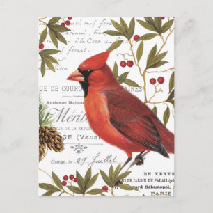 Modern vintage woodland cardinal postcard