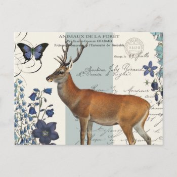 Modern Vintage Woodland Deer Postcard by GIFTSBYHEATHERMYERS at Zazzle