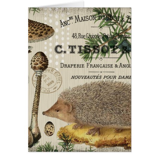 modern vintage woodland hedgehog (Front)