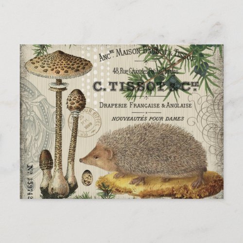 modern vintage woodland hedgehog postcard