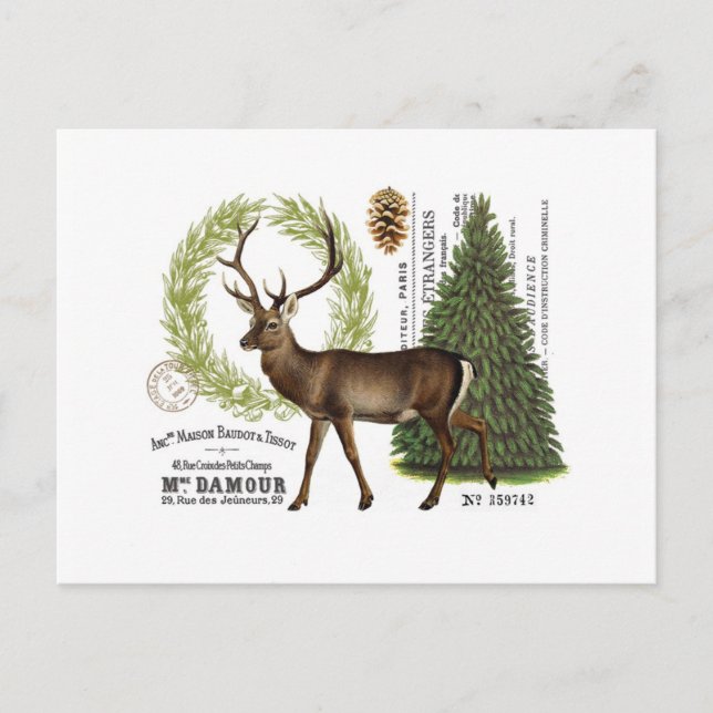 modern vintage woodland winter deer postcard (Front)