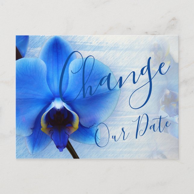 Modern Watercolor Blue Orchid Floral Postcard (Front)