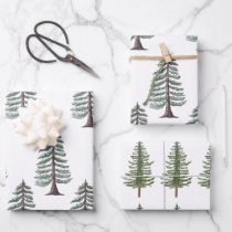 Winter Wonder Cabin Forest Bird Vintage Wrapping Paper