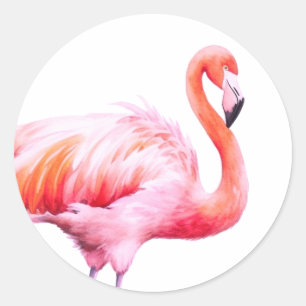 Modern Watercolor Pink Flamingo Classic Round Sticker