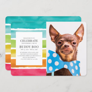 Modern Watercolor Rainbow Stripes Pet Memorial Invitation