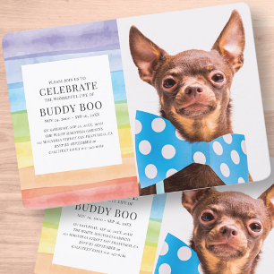 Modern Watercolor Rainbow Stripes Pet Memorial Invitation
