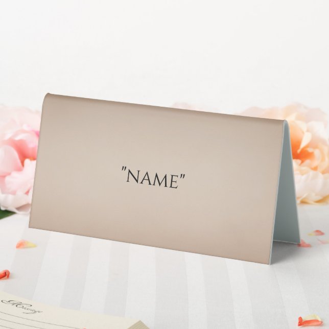 Modern Wedding Place Cards Table Tent (In SItu (Wedding))